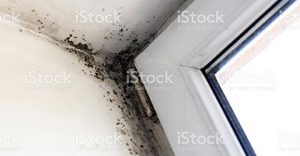 Asbestos Leaks at home