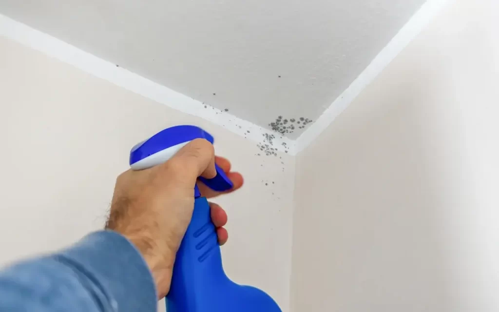 A person inspecting a damp wall for mould growth in a home