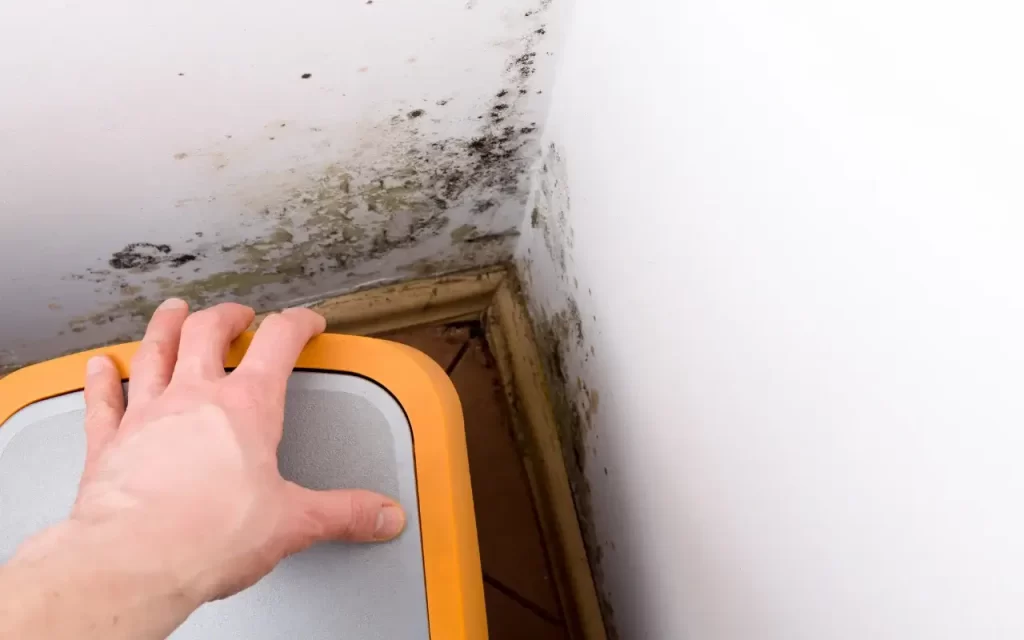 Close-up of black mould spreading on a bathroom ceiling