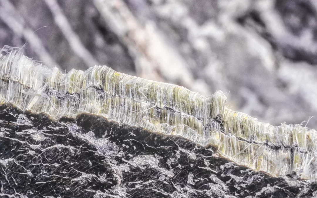 Close-up of asbestos fibres under a microscope