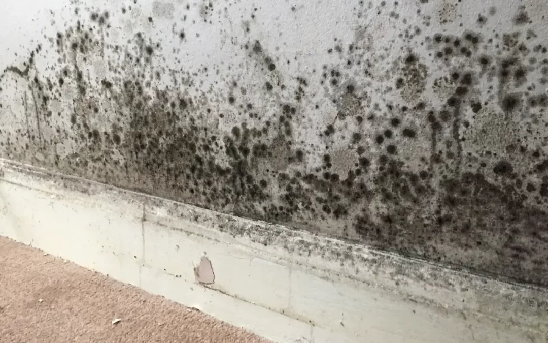 Dehumidifier running in a living room to reduce moisture and prevent mould growth