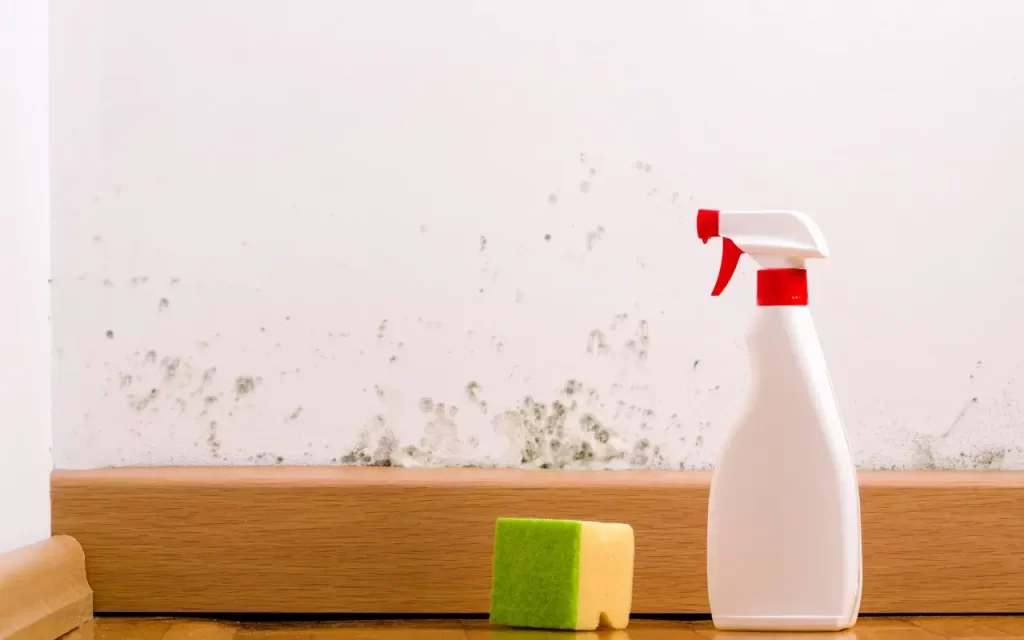 Person scrubbing mould off a bathroom wall with a sponge and protective glove