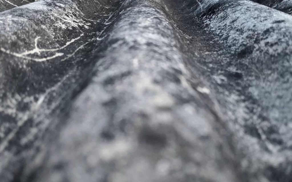 Close-up of asbestos fibers under a microscope