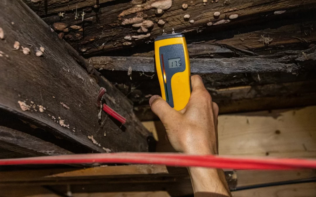 How to Test Air Quality in My Home